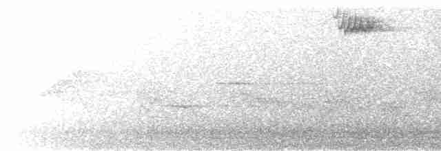 Kara Göğüslü Ardıç - ML599329401