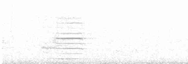 Какатоїс буроголовий - ML599331271