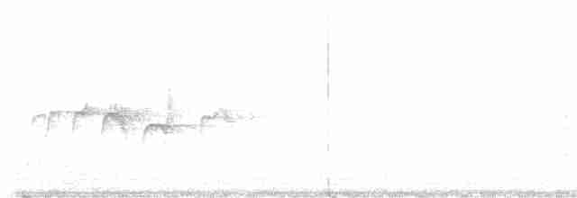 Синьохвіст білобровий - ML599350431