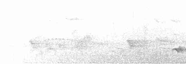 Kara Göğüslü Ardıç - ML599353431