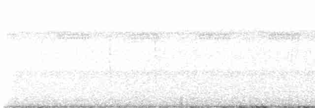 Common Gallinule (American) - ML599374911