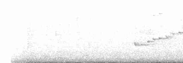 Трупіал-чернець чагарниковий - ML599388701