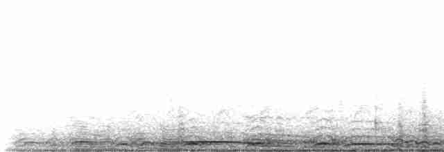 Chouette rayée - ML599395301