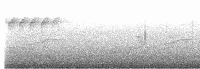 Блакитар вохристочеревий - ML599399131