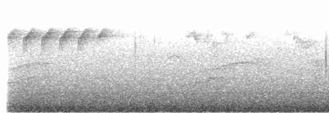 Блакитар вохристочеревий - ML599399141