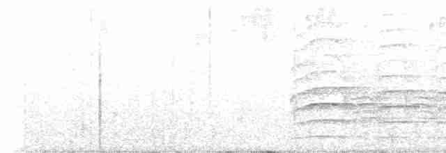Beyaz Benekli Papağan (seniloides) - ML599403741
