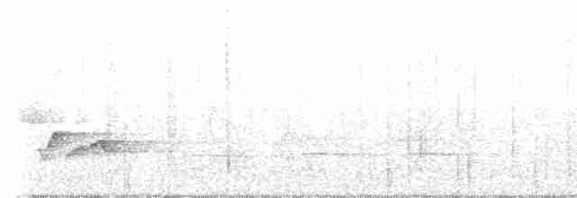 gråbrystskogsmett (leucophrys/boliviana) - ML599405791