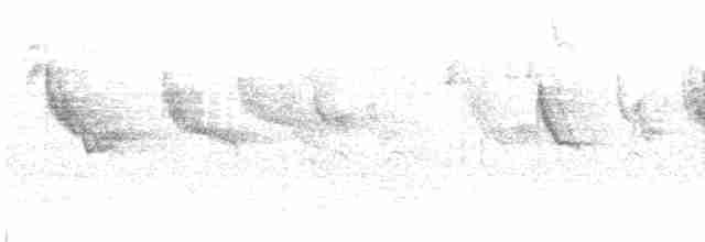 Swinhoe's White-eye - ML599409441