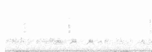 Eastern Olivaceous Warbler - ML599419261