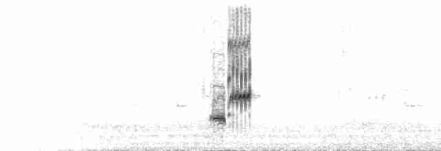 Great Gray Shrike (Steppe) - ML599439381