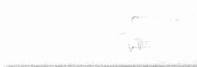 Cerulean Warbler - ML599455981