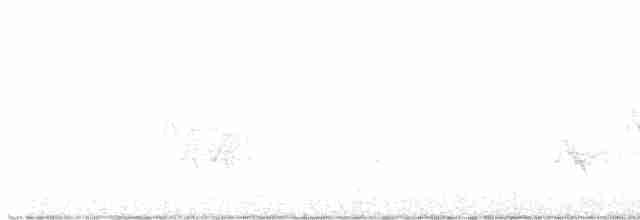 Cerulean Warbler - ML599455991