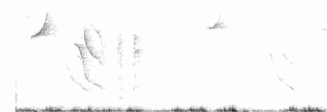 アカハラマユシトド - ML599463151