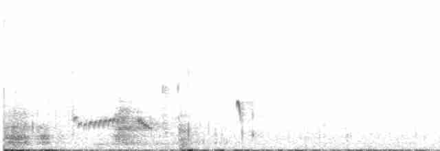 Kara Kanatlı Yer Kumrusu - ML599510251