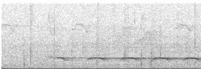 Atlantik Kara Gerdanlı Trogonu - ML599577011