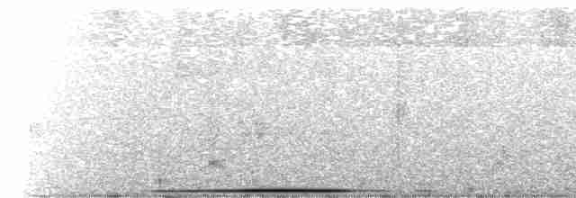 holub bledolící - ML599613601