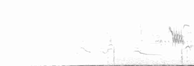 Tawny Pipit - ML59963461