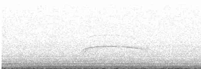Чёрно-белый ястреб - ML599678471