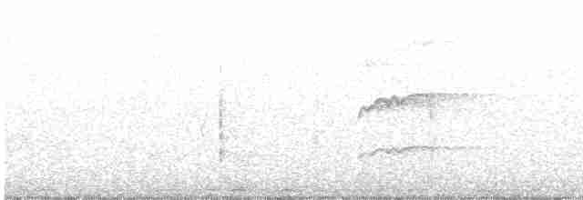 Sharp-shinned Hawk (Northern) - ML599694251