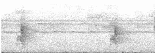 Grauscheitel-Ameisenvogel - ML599711121
