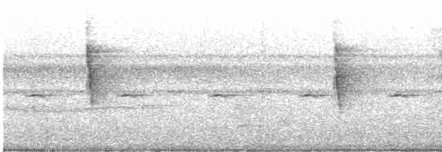 Kara Gerdanlı Çıtkuşu - ML599711241