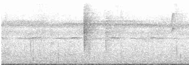 Kara Başlı Çıtkuşu - ML599711391