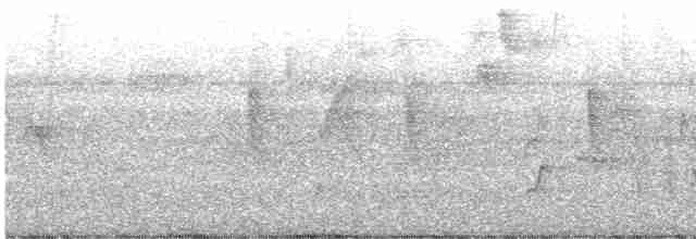 Красногрудый зимородок - ML599711431