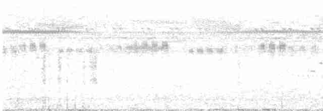 Slender-billed Babbler - ML599713241