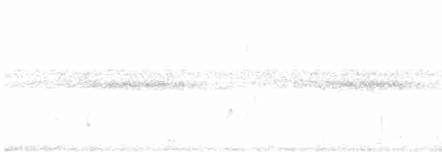 Tinamou vermiculé - ML599762201