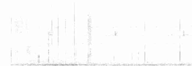Scissor-tailed Nightjar - ML599768661