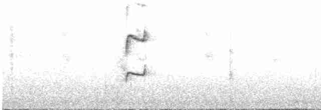 Puna Thistletail - ML599775311
