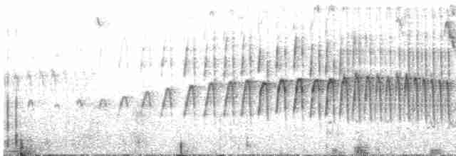 Puna Thistletail - ML599776141