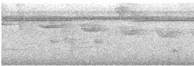 Tüpfelkronen-Ameisenvogel - ML599793971