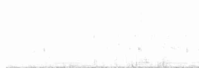 chřástalík kaštanovoprsý - ML599817781