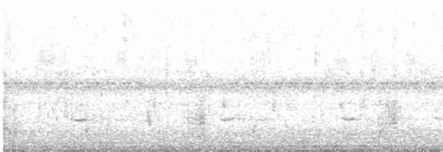 Tinamou à petit bec - ML599818871