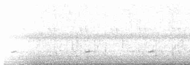 Tinamou à petit bec - ML599818901