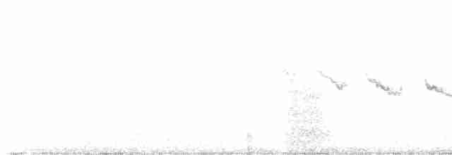 Каньонный крапивник - ML599858281