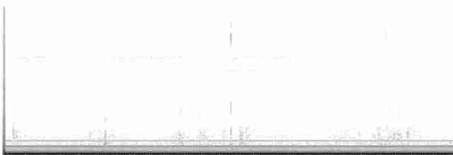 Curve-billed Tinamou - ML599859071