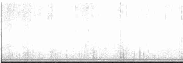 Curve-billed Tinamou - ML599859081