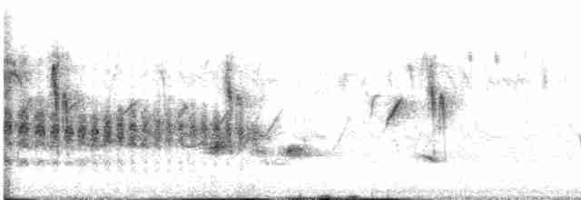 White-tailed Iora - ML599909641