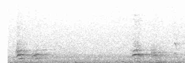 White-plumed Honeyeater - ML599915391