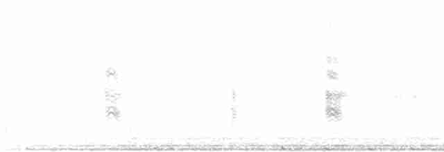 White-tailed Tropicbird - ML599928371