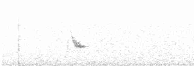 Дрізд-короткодзьоб канадський - ML599929551