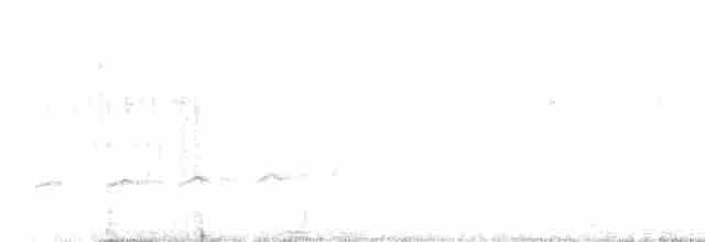 Вилохвостая дронговая кукушка - ML599937591