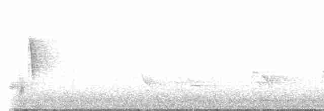 White-eyed Vireo - ML599941821