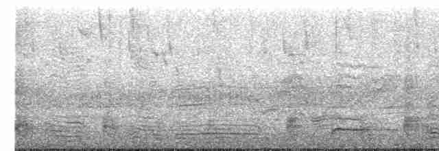 Молуккский ибис - ML599944941