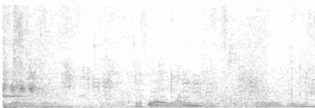 Bataklık Bubusu (sticturus) - ML599958941