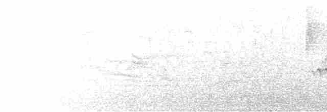 Bant Kuyruklu Tırmaşıkkuşu - ML599959021