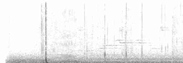 Münzevi Bülbül Ardıcı - ML600003891