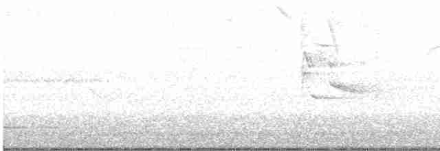 Lesser Goldfinch - ML600035391